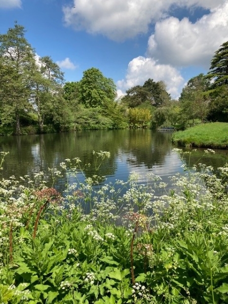 Benington Lordship